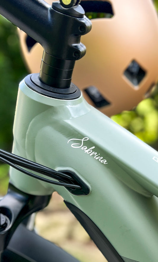 Fahrradaufkleber / Namensaufkleber